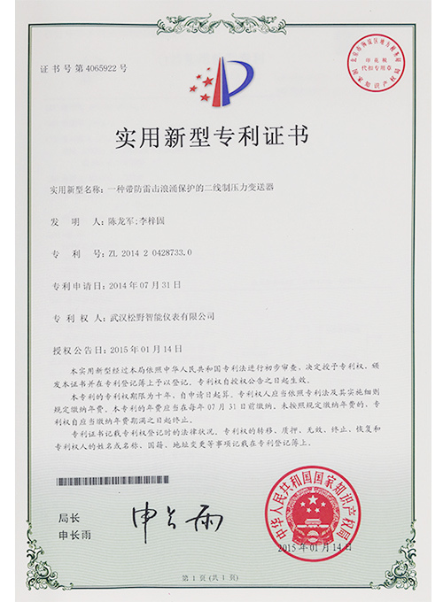 一种带防雷击浪涌保护二线制压力变送器实用新