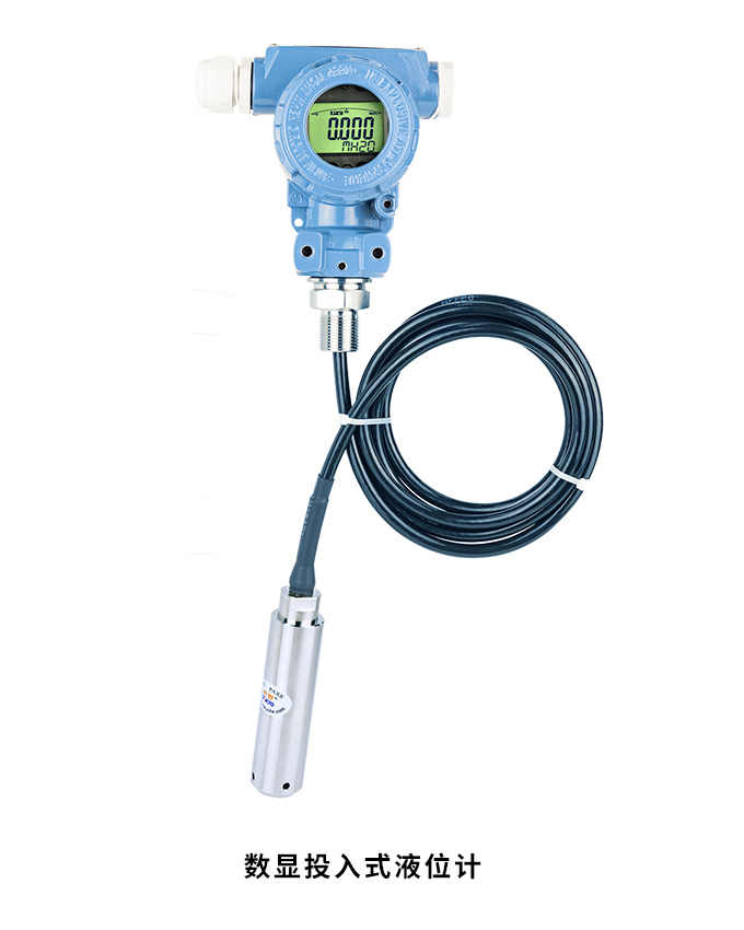 数显投入式液位计,PG1300SY液位计