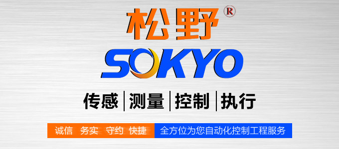 扩散硅压力变送器,PG1300Y压力变送器品牌模块