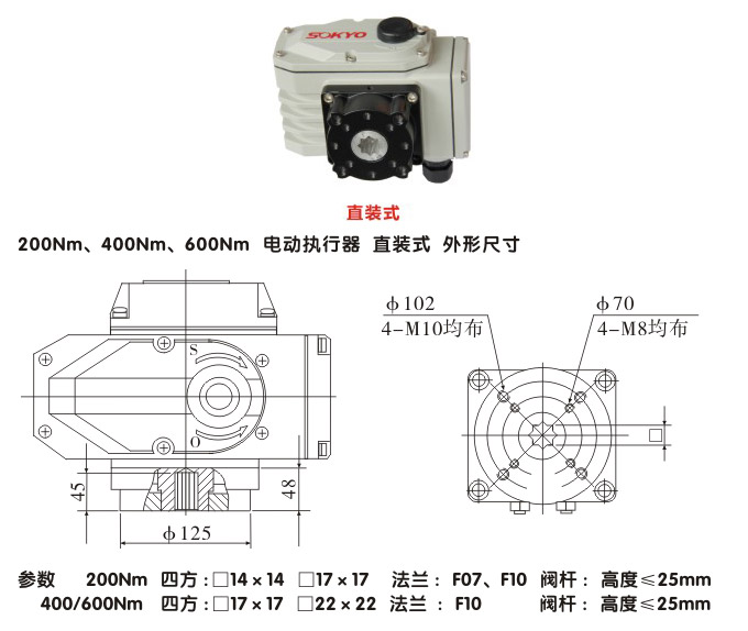 电动执行机构,YTDG-RKB600电动执行器,电动头结构图,直装式