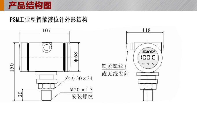 智能液位变送器,RS485智能液位计结构图